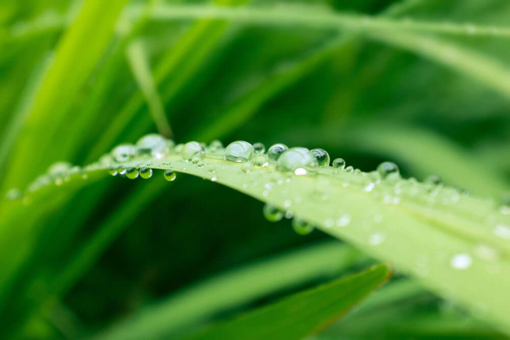 Wassertropfen